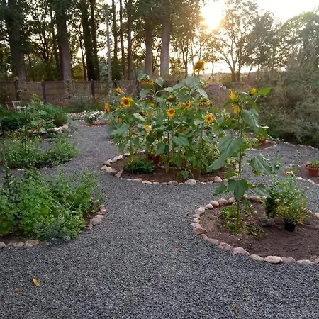 Gospodarstwo agroturystyczne Bequemschlafen Heidenau (Lower-Saxony)