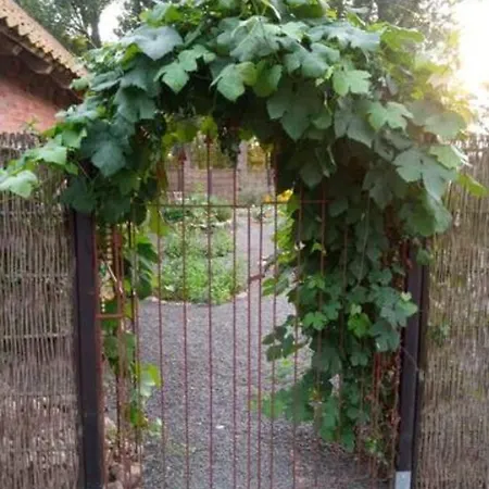 Bequemschlafen * Heidenau (Lower-Saxony)